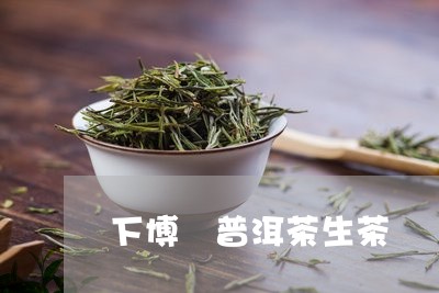 下博 普洱茶生茶/2023031690381